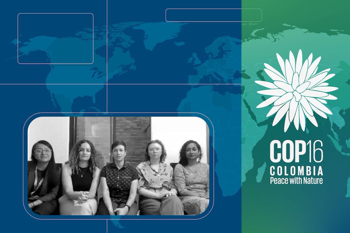 Carbon Brief tweet media