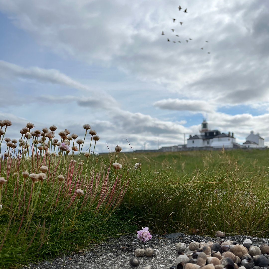 🌟Thank you all for a wonderful season! 

Loop Head Lighthouse is now closed for the winter. We look forward to reopening in March 2025. 

See you next year! 

#LoopHeadPeninsula #ThankYou