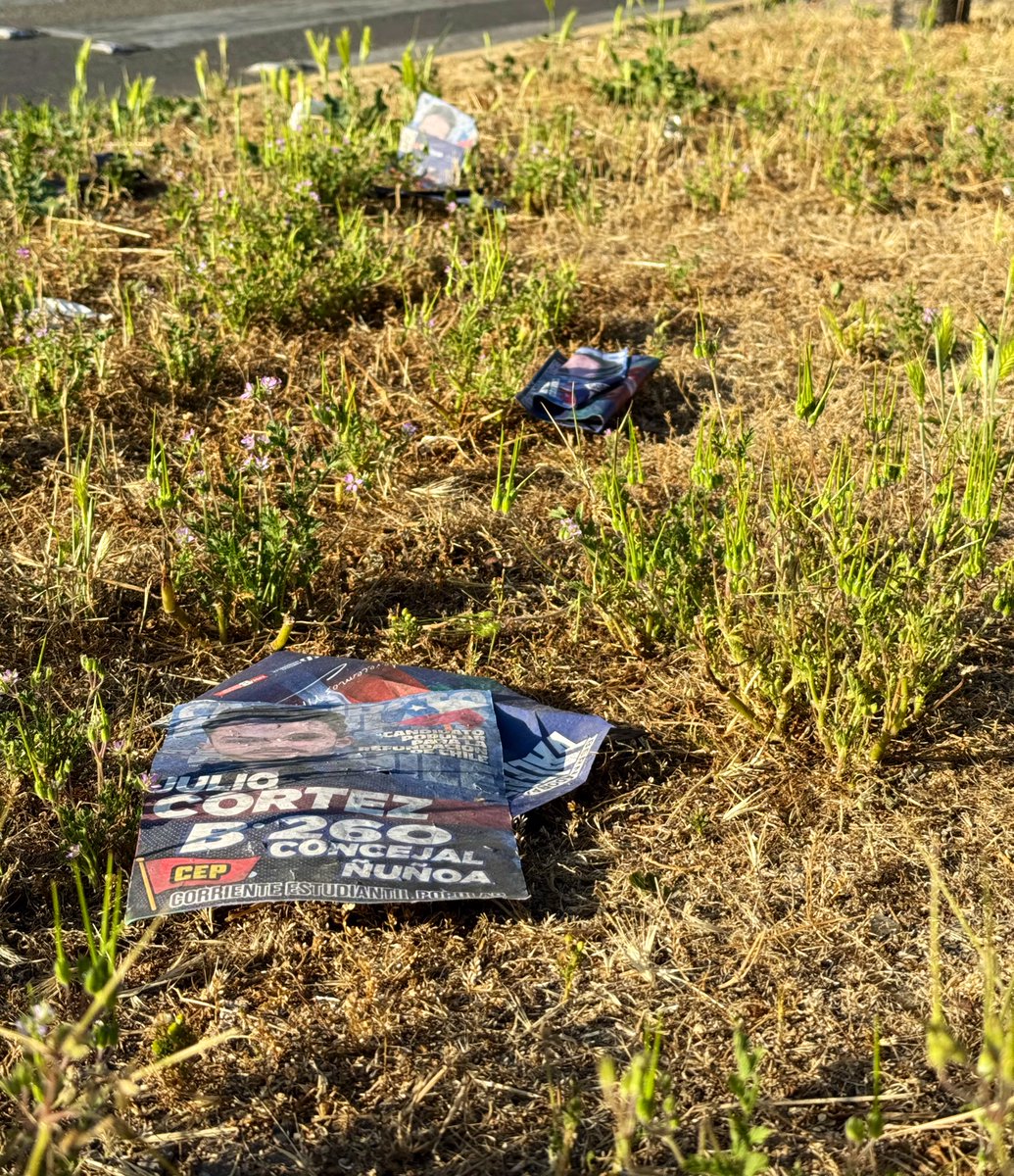 JuliCes's tweet photo. ¿No sería genial que los candidatos, pierdan o ganen se ocupen también de la basura que genera su propaganda política después de las elecciones? https://t.co/8s9W6MzkHd
