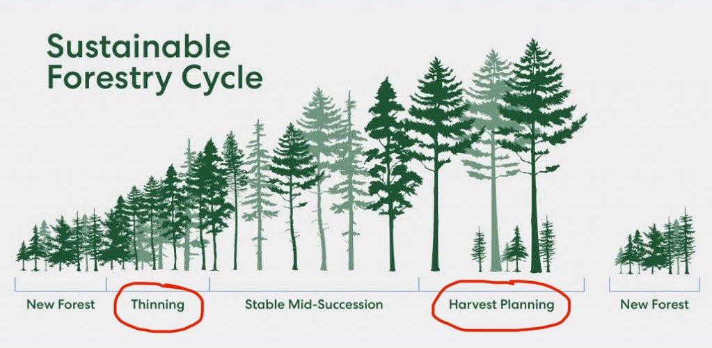 masstimbergroup's tweet photo. @ScienceMagazine The answer to stopping wildfires is...
Sustainable Forest Management
Tree huggers made people think that cutting down a tree is murder.
It's not when you replant 2 trees in the place of 1.
Timber is the only sustainable resource we have for building construction at scale. https://t.co/29jgcmXuTS