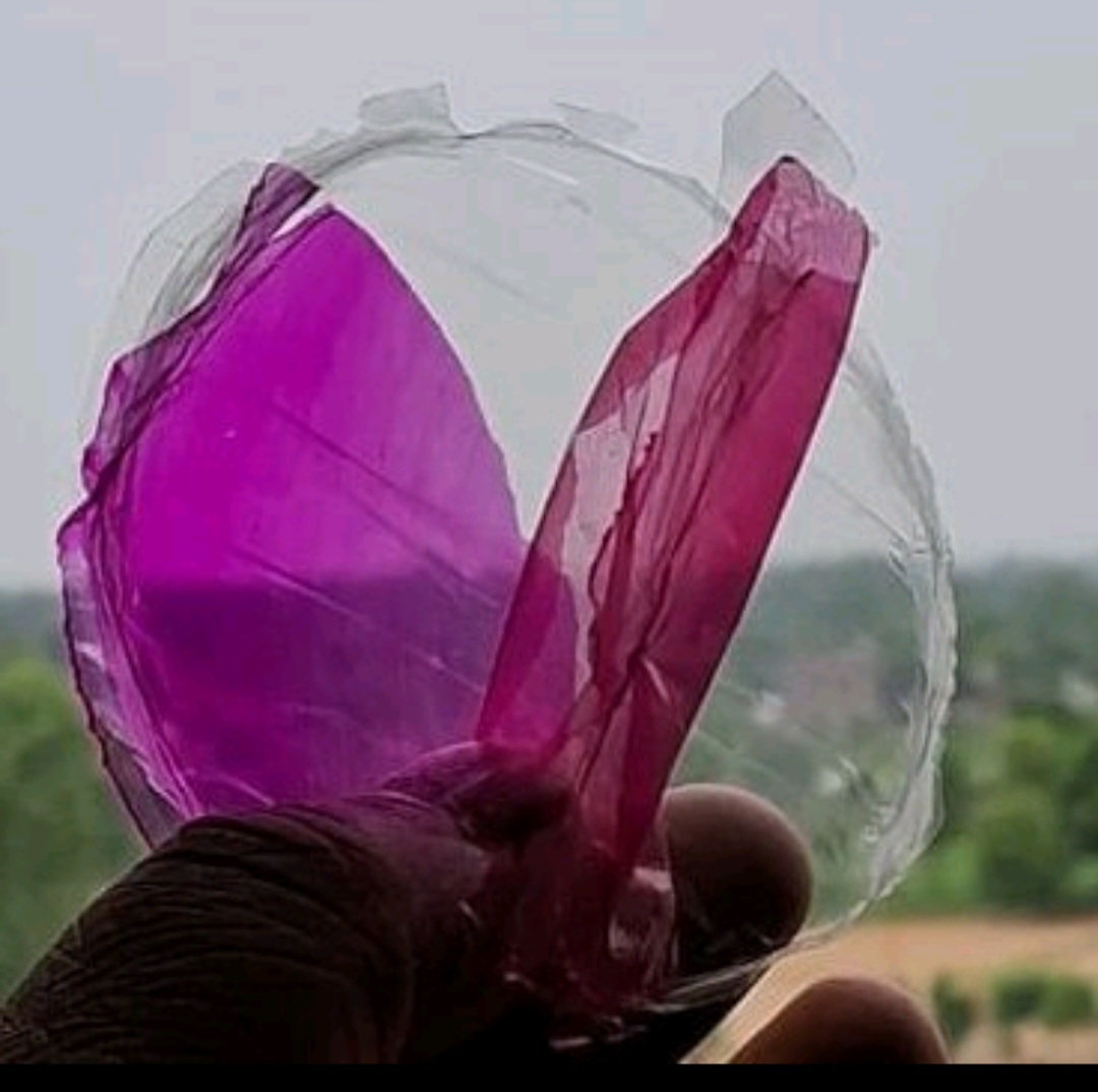 Debs_Chem's tweet photo. Transparent Paper from Rice Straw/Green Coconut Shell: Liquid Crystals. 
#stubbleburning

@PetroleumMin 
@TheRGIPT 
@chennaipetro https://t.co/YXlq58z7ng