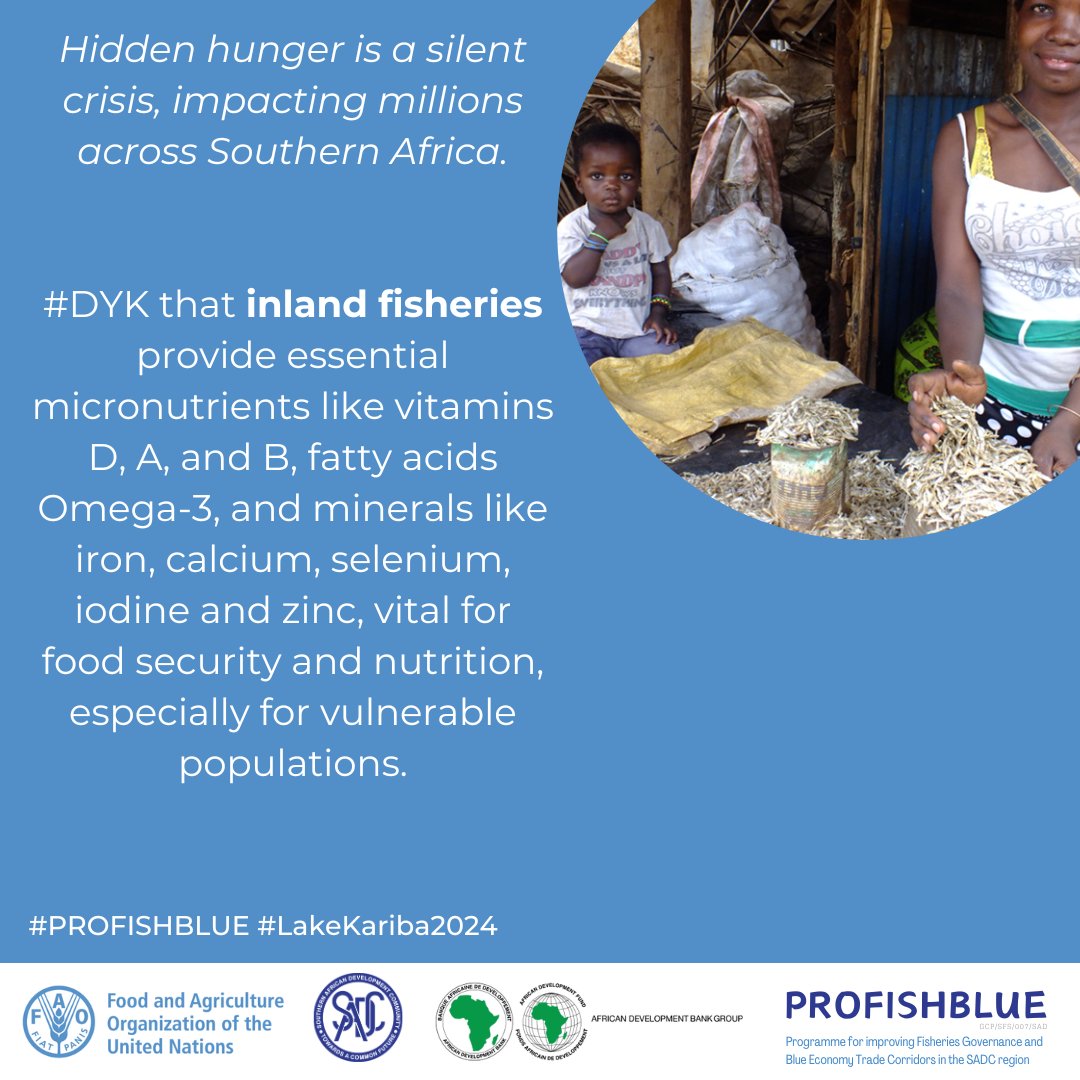faosfsafrica's tweet photo. Let us harness the power of fisheries to combat malnutrition and improve lives 🐟💪
Inland capture fisheries support directly over a million people and contribute significantly to food security, nutrition, employment, livelihoods, and human welfare 🍲
#PROFISHBLUE #Nutrition https://t.co/SfuBSkIk1j
