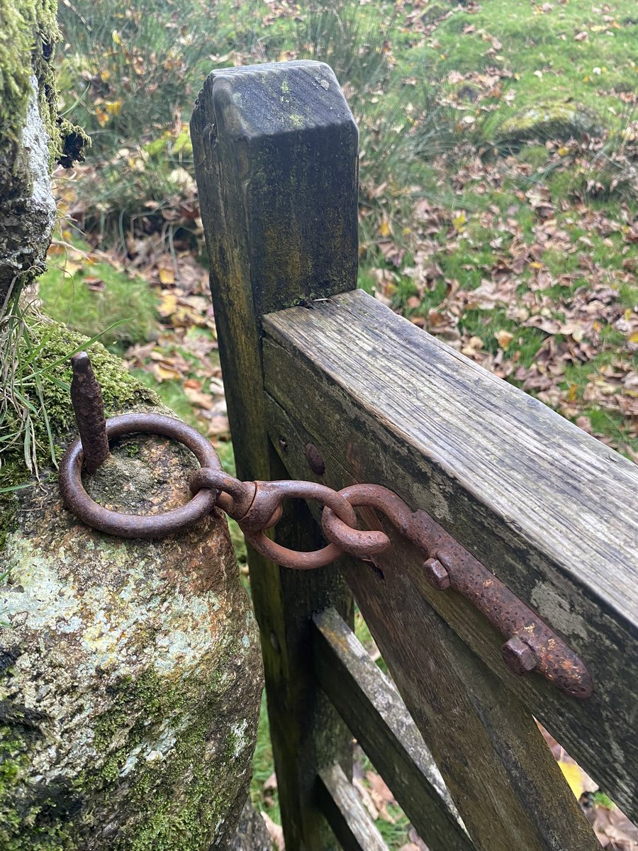 A lack of #snecklifterTuesday accompaniments up on Bodmin, have some catches instead.