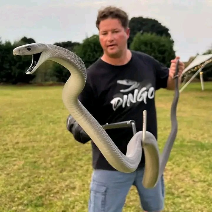 jahman_adamski's tweet image. Zimbabwean 🇿🇼         South African 🇿🇦