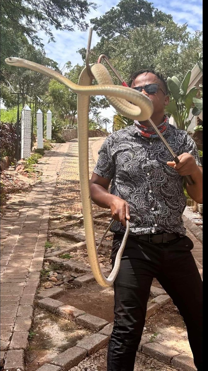 jahman_adamski's tweet image. Zimbabwean 🇿🇼         South African 🇿🇦