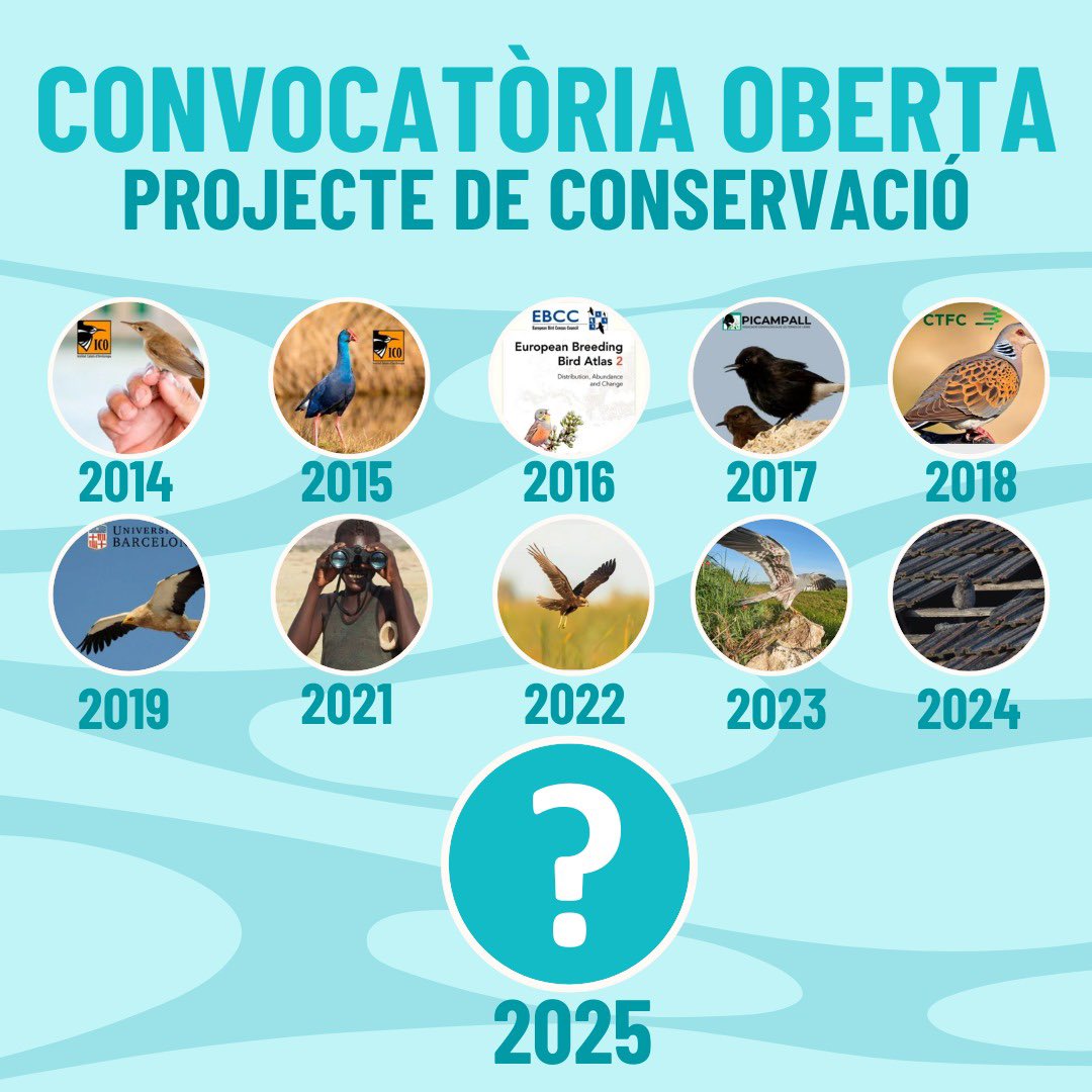 💥¡Abrimos convocatoria para la selección del proyecto de conservación de la 11ª edición del DBF!

🪶 ¡Si tienes un proyecto en activo relacionado con la fauna salvaje, envíanos tu propuesta y opta a ser el candidato a recibir los beneficios de las entradas del festival de 2025!