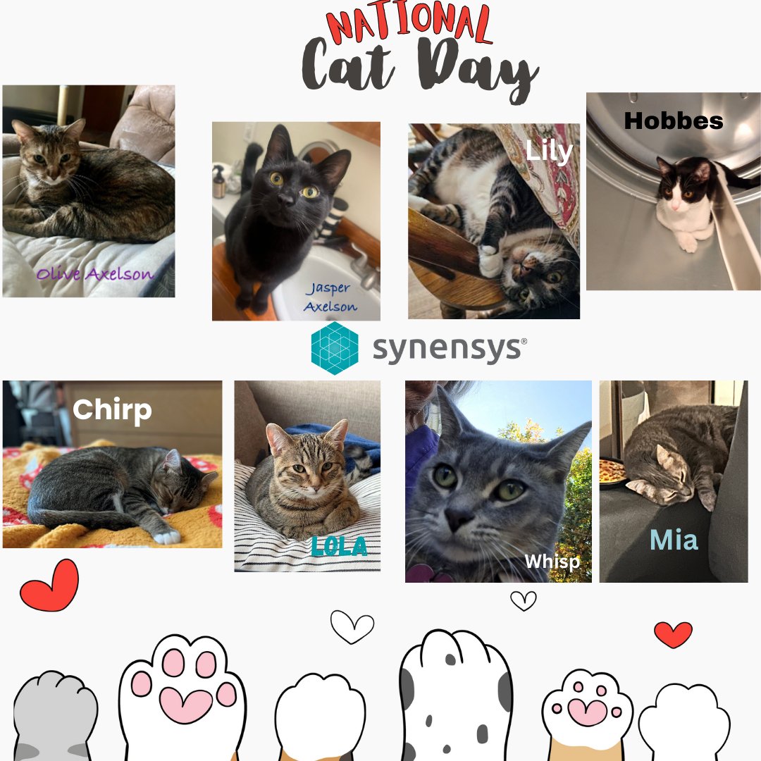 Happy National Cat Day from our Synensys Furry Felines!