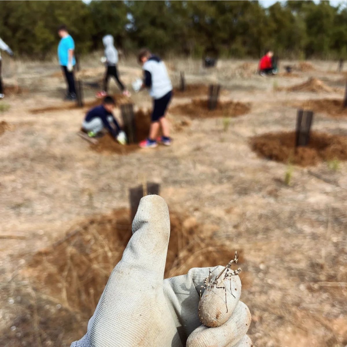 El pasado 26 y 28 de octubre, más de 100 personas entre profesorado y alumnado de la provincia de #Málaga, acudieron a la Reserva Natural de la Laguna de Fuente de Piedra para colaborar con nuestra #reforestación, fomentando así la #Biodiversidad del entorno.