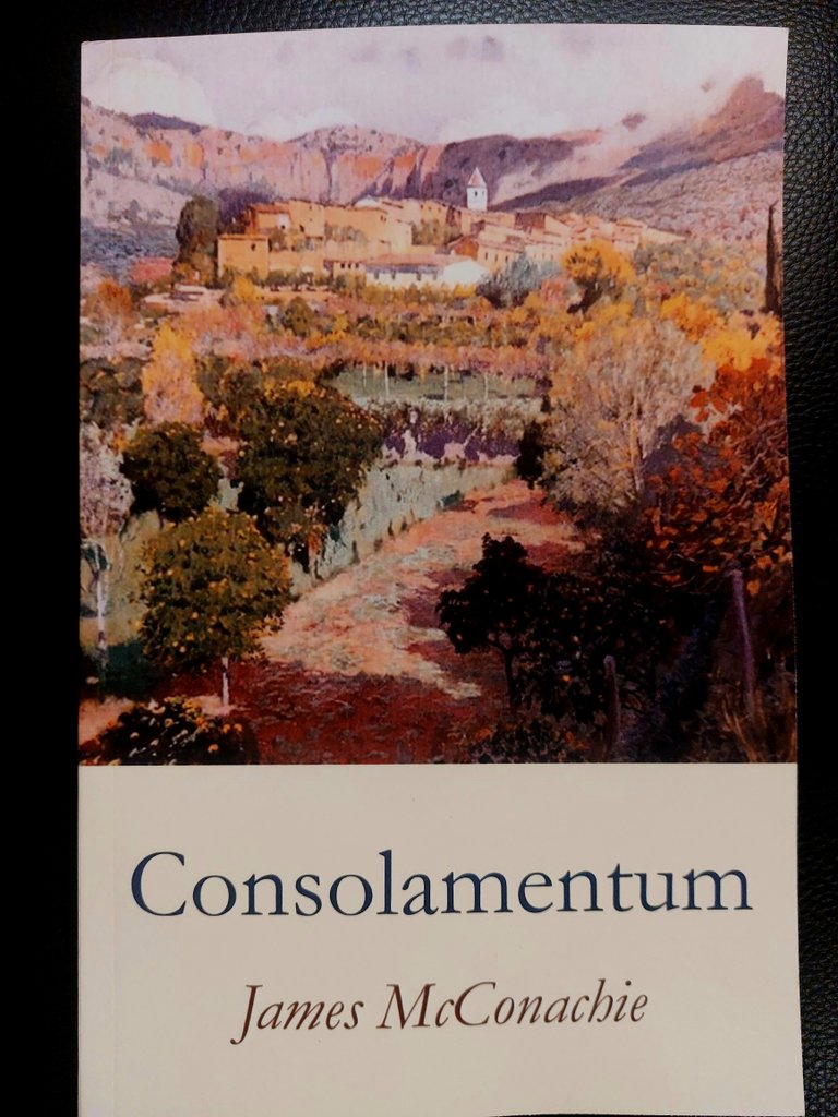 Vikki C. tweet media