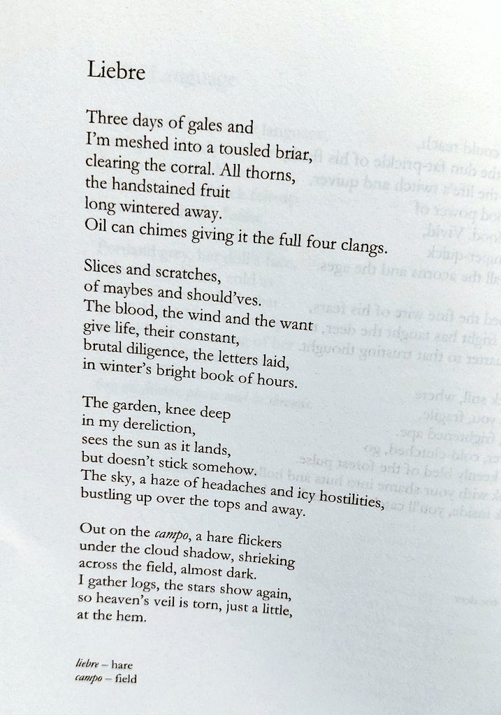 A timely treat on this <a href="/TopTweetTuesday/">TopTweetTuesday</a> ❤️

Came home to my copy of @jamesmcconachi1's 'Consolamentum' (<a href="/blackboughpoems/">Black Bough Poetry / Barddoniaeth Y Gangen Ddu</a>)

Beautiful elegiac poems exploring a breathtaking historical landscape against the tenor of humanity. 

Order yours today. A collection not to be missed 💫