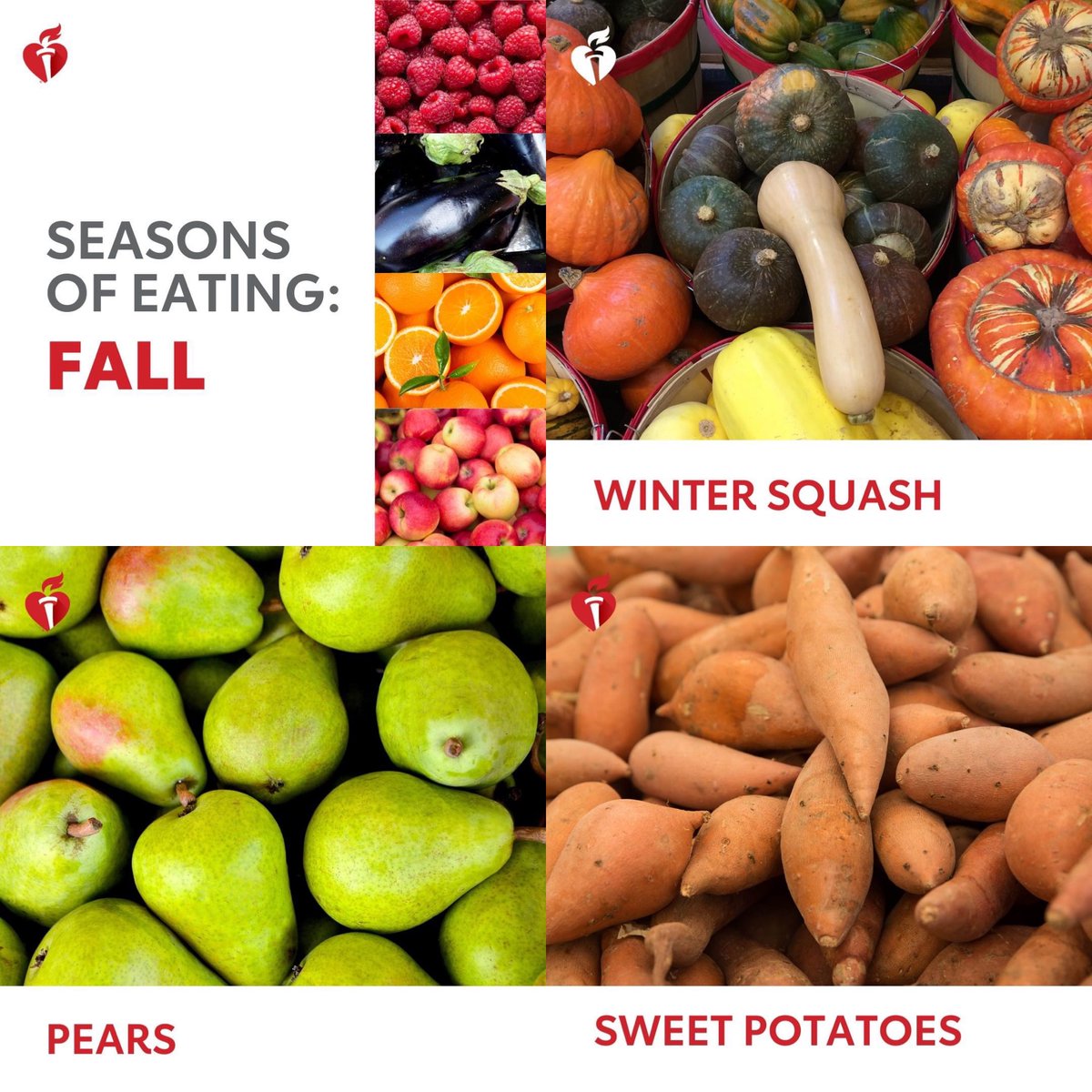 PHealthySchools's tweet image. Do you know which fruits and vegetables taste best in the Fall?  Check out these graphics for some healthy foods that are ripening as we speak!  #ProjectHealthySchools  #FallFoods