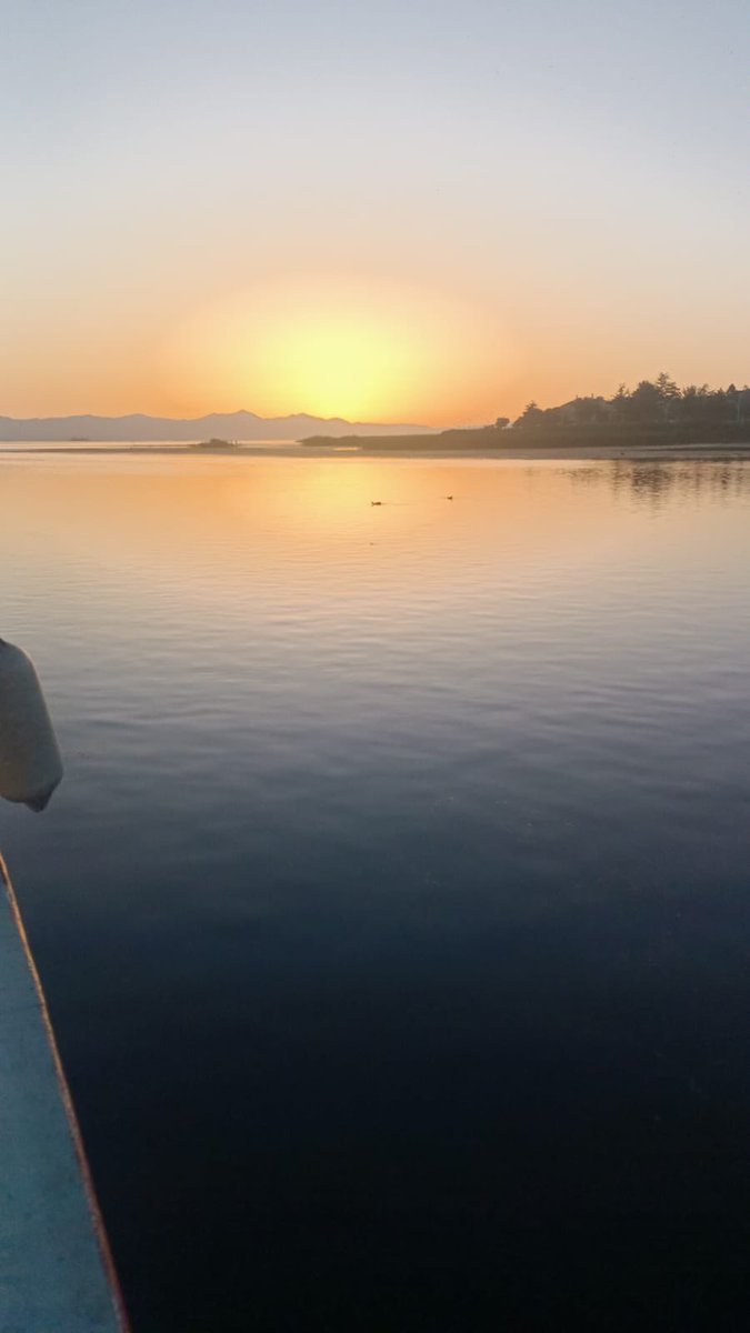 Dünyada her şey için, medeniyet için, hayat için, başarı için, en hakiki mürşit bilimdir, fendir.

#29ekim #Love #remember 
Atatürk