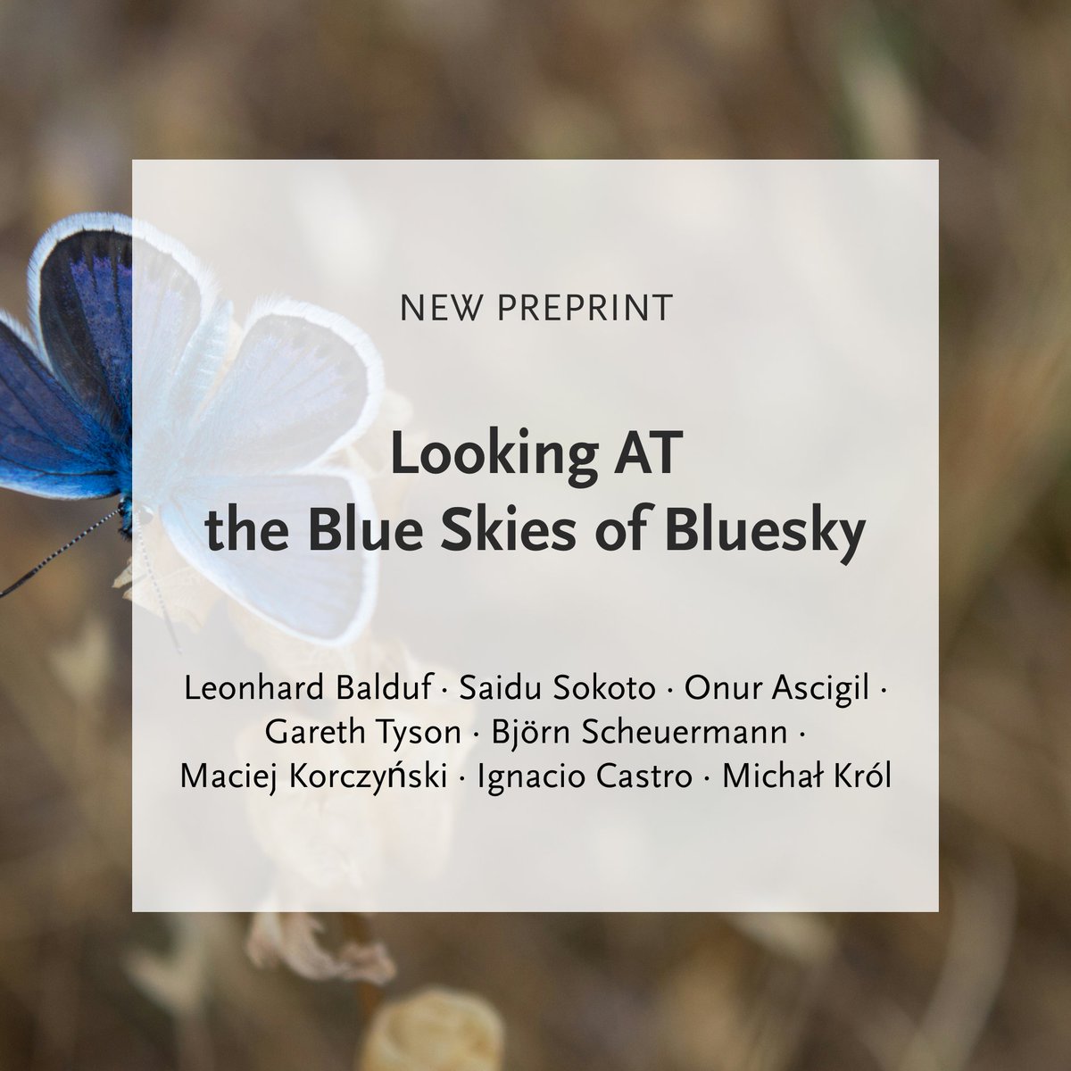 HIIG Berlin (@hiig_berlin) on Twitter photo Björn Scheuermann has co-authored a preprint with study on #Bluesky, a decentralised & user-driven alternative to X. Could Bluesky's model with custom feeds & community moderation set new standards? Presented soon @ACM_IMC_2024. <a href="/Gareth_Tyson/">Gareth Tyson</a> <a href="/Ignactro/">Ignacio Castro is in Bsky & Mastodon</a>
👉arxiv.org/abs/2408.12449 Björn Scheuermann has co-authored a preprint with study on #Bluesky, a decentralised & user-driven alternative to X. Could Bluesky's model with custom feeds & community moderation set new standards? Presented soon @ACM_IMC_2024. <a href="/Gareth_Tyson/">Gareth Tyson</a> <a href="/Ignactro/">Ignacio Castro is in Bsky & Mastodon</a>
👉arxiv.org/abs/2408.12449