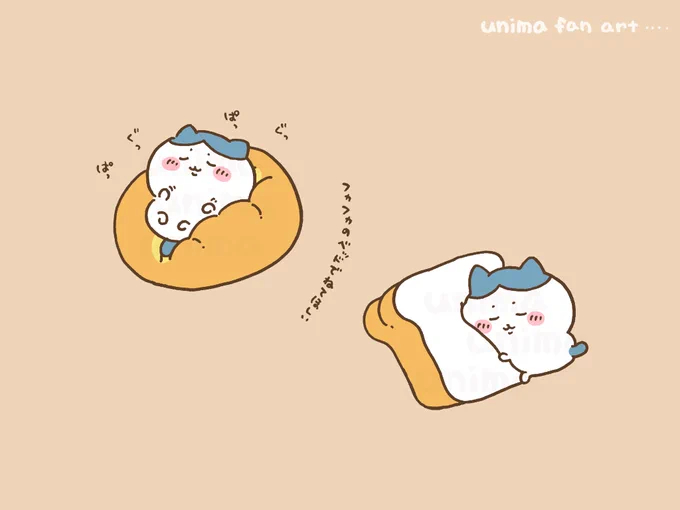 …🛌 