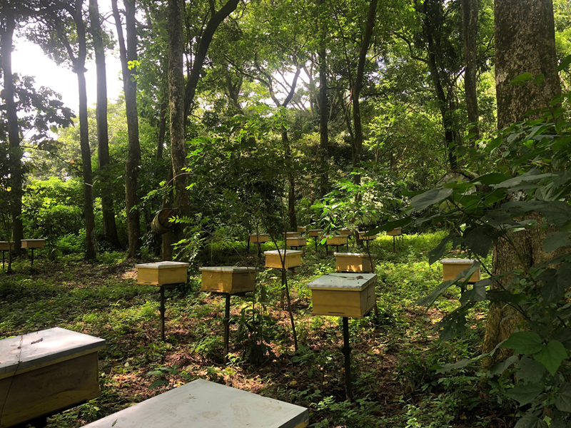 Mobilising More tweet media