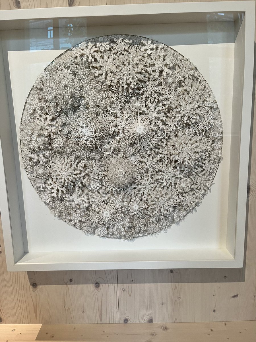 Jon Hale tweet media