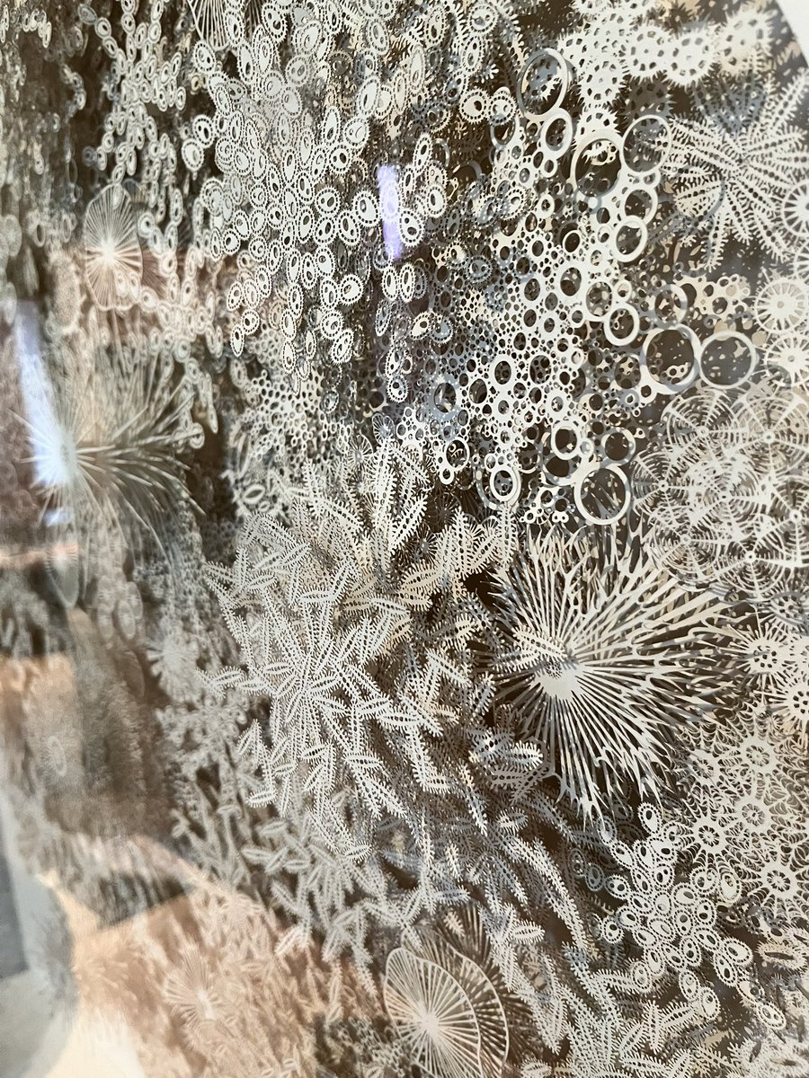 Jon Hale tweet media