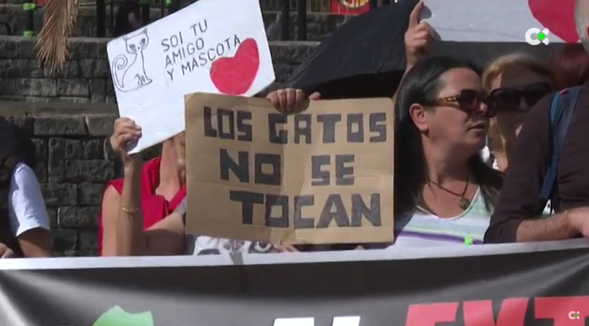 Concentraciones en Canarias para que los gatos se queden donde están, haciendo todo el daño que hacen, viviendo tan mal como viven. Porque sí, porque a ellas y a ellos, que son todo ética, les encanta que estén allí
canariasdiario.com/noticia/135285…