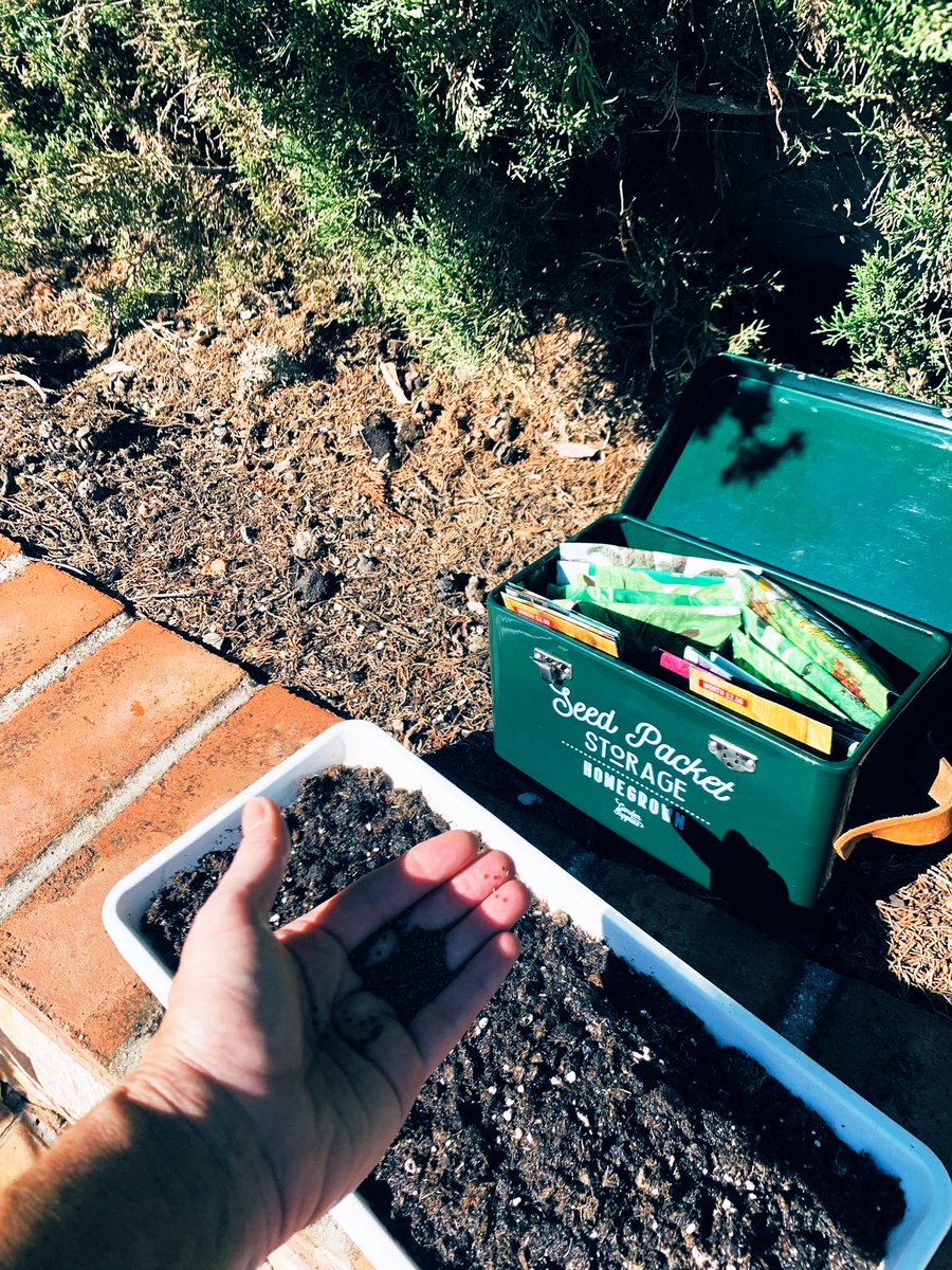 Lady Muck tweet media