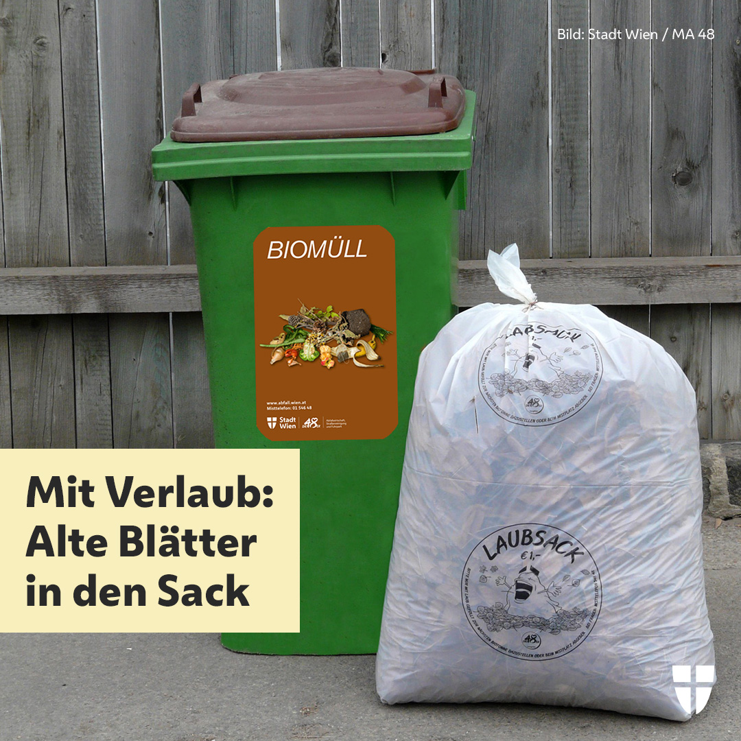 .@die48er helfen euch aus dem Blätterhaufen! 🍂 Dafür gibt's den 48er-Laubsack: Er fasst 100 Liter, ist aus nachwachsenden Rohstoffen und für 1 Euro auf den Wiener Mistplätzen erhältlich. Ist er voll, zurück zum Mistplatz bringen oder bei der Entleerung der Biotonne dazugeben.