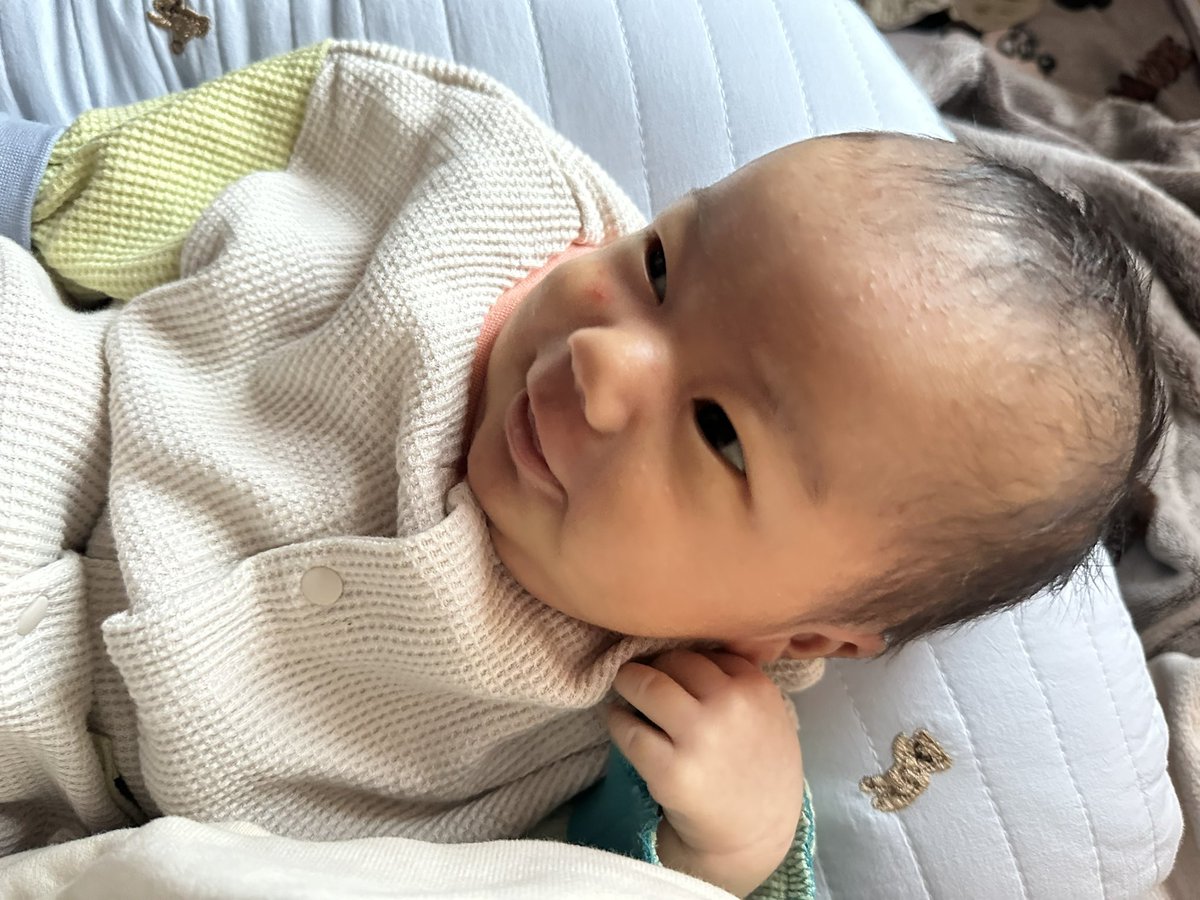 muu883Harley's tweet photo. 毎日癒しをくれる息子👶🏻💕
日に日に顔もまん丸になっていく💭 https://t.co/9CwqsobWGH