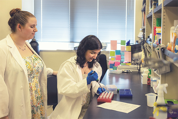 Toxic protein may contribute to ALS development: New study elucidates the physiological processes that may contribute to ALS development and identifies a potential therapeutic target

Read about this study that includes doctoral candidate Brianna Hnath ➡️ bit.ly/48fO8S6