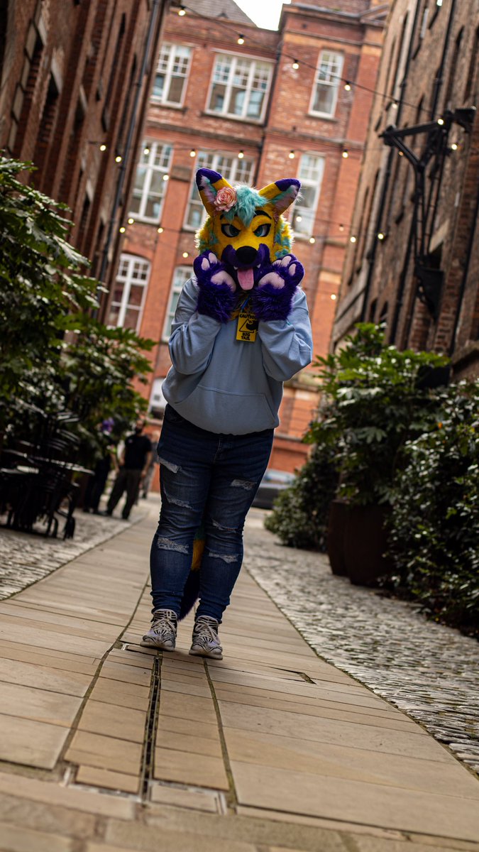 πΈπBlazenππΈ π CFz#787 (@blazentigerfolf) on Twitter photo If thereβs one thing that listening to J-Pop has given me, itβs knowing how to pose flamboyantly ππ
πΈ
πΈ: <a href="/Derg_photos/">Bass_Photography</a>
πͺ‘: <a href="/HouseOfCardsFur/">β οΈ House Of Cards Fursuits β οΈ</a> If thereβs one thing that listening to J-Pop has given me, itβs knowing how to pose flamboyantly ππ
πΈ
πΈ: <a href="/Derg_photos/">Bass_Photography</a>
πͺ‘: <a href="/HouseOfCardsFur/">β οΈ House Of Cards Fursuits β οΈ</a>