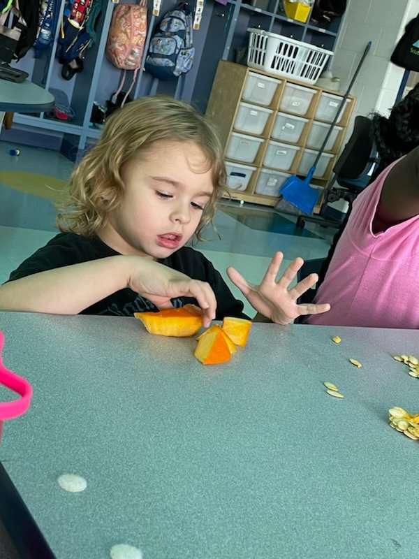 MsMoore50's tweet photo. Pumpkin Exploration Fun! We even found a pumpkin growing inside the pumpkin 🎃 #OnlyinLifeSkills #CrosBees #HarvardRising https://t.co/5sl3Jn6ZX2