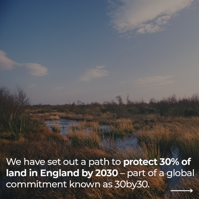 DefraGovUK's tweet photo. We’re kickstarting new international efforts to protect and restore nature.

Today @SteveReedMP sets out the path to protect 30% of land by 2030.

Supercharging nature protection at home and abroad is a key part of the Government’s mission.

#COP16
More: https://t.co/t51BUBxUm8