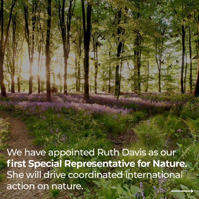 DefraGovUK's tweet photo. We’re kickstarting new international efforts to protect and restore nature.

Today @SteveReedMP sets out the path to protect 30% of land by 2030.

Supercharging nature protection at home and abroad is a key part of the Government’s mission.

#COP16
More: https://t.co/t51BUBxUm8