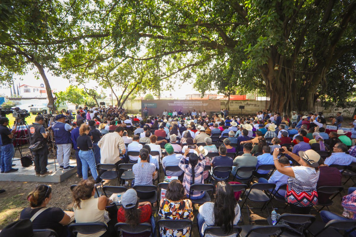 ¡Gran noticia para el campo morelense! 🌱 Por primera vez, se elaborarán mapas de fertilidad de suelos en la entidad, gracias a un convenio firmado por la gobernadora <a href="/margarita_gs/">Margarita González Saravia</a> con el #CIMMYT.

#LaTierraQueNosUne #Morelos

facebook.com/share/p/gWfjwF…