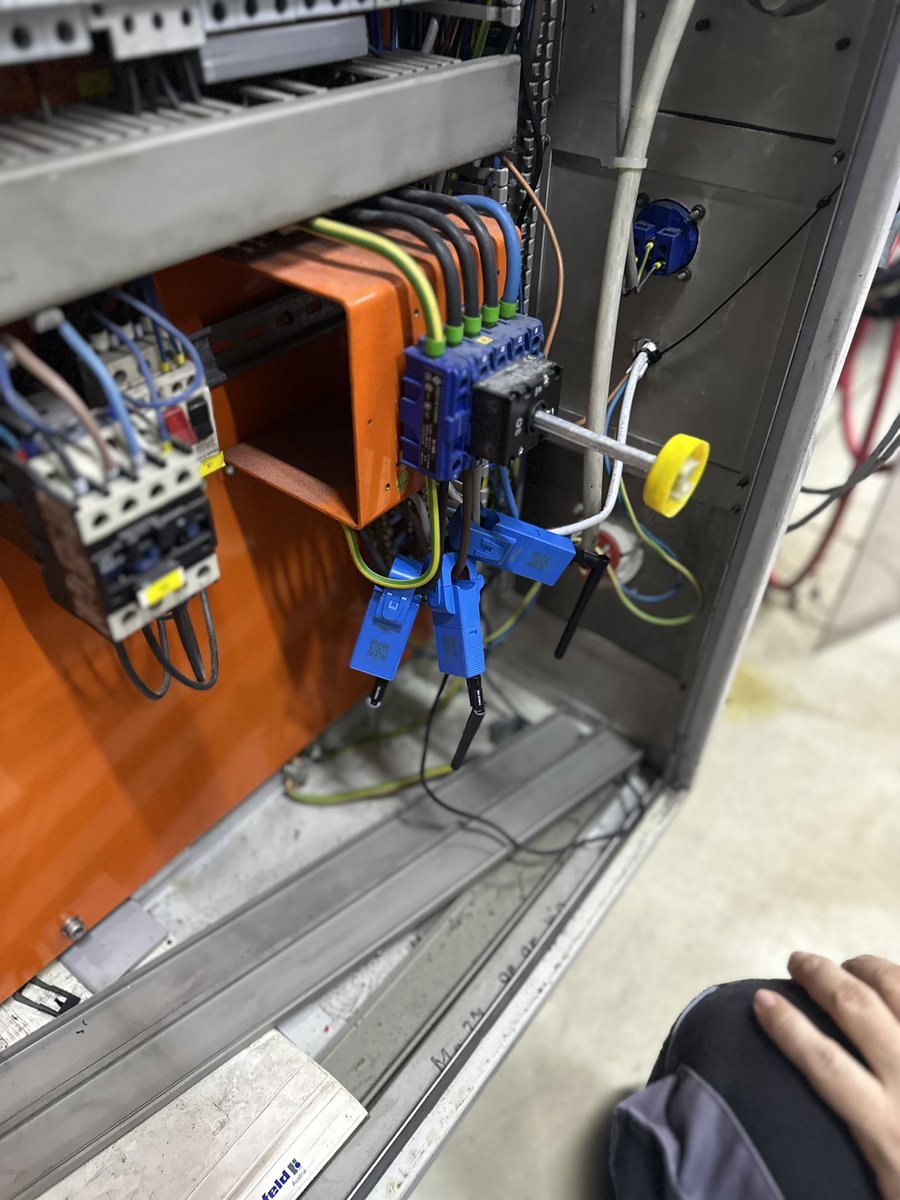 Heliotics🎈 tweet media