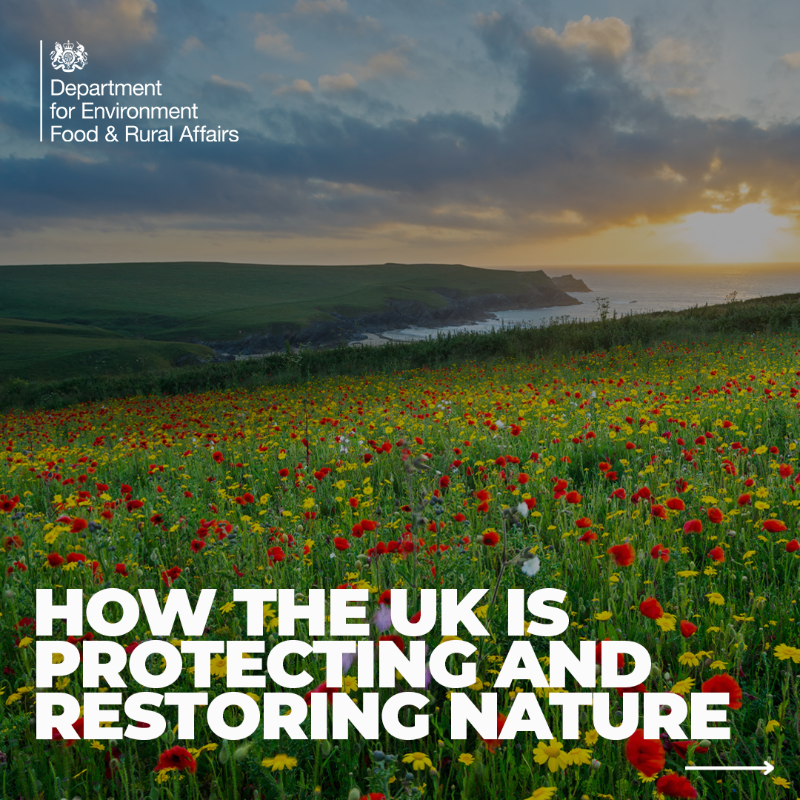 DefraGovUK's tweet photo. We’re kickstarting new international efforts to protect and restore nature.

Today @SteveReedMP sets out the path to protect 30% of land by 2030.

Supercharging nature protection at home and abroad is a key part of the Government’s mission.

#COP16
More: https://t.co/t51BUBxUm8