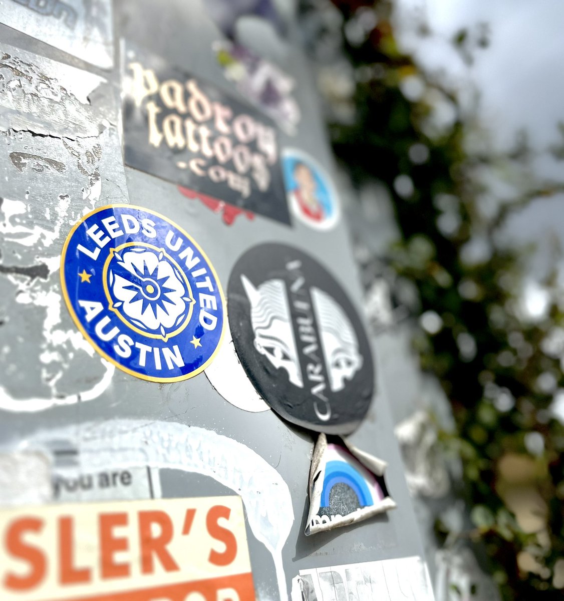 Leeds United | Austin TX tweet media