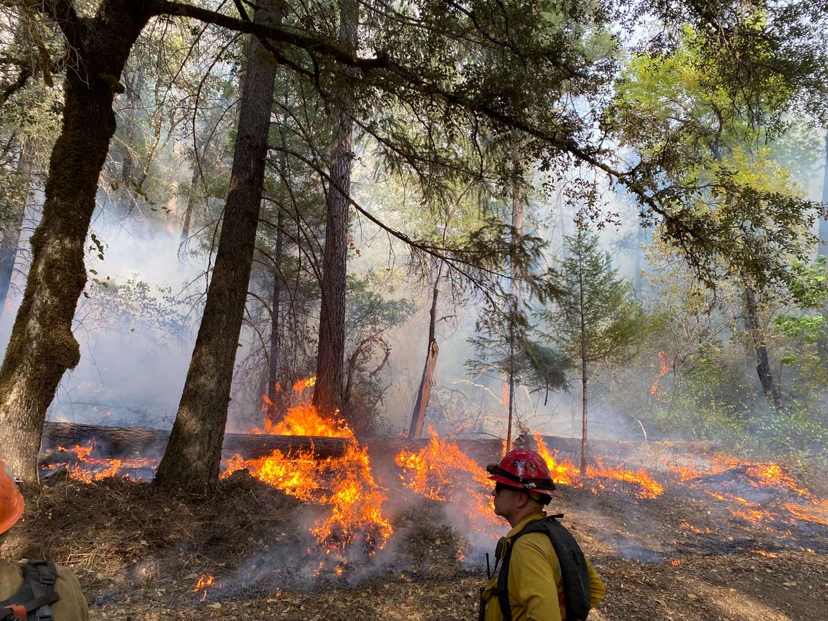 ShastaTrinityNF's tweet image. Fighting wildfires is more complicated than most of us imagine. Weather, terrain and vegetation density play a role. No fire is the same. Click the link for a look at how wildfires are fought.

ow.ly/kJ7050TUOIS

#usforestservice #shastatrinitynationalforest #wildfire