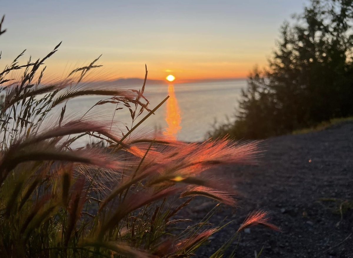 Sunshine in the Summer! ☀️ Experience the midnight sun! Longer days mean more time for exploration. What will you do with the extra daylight? #MidnightSun #SummerInAlaska #RVingtoAlaska 

📍Point Woronzof, Anchorage
📷: Mark Germana, 2023 RV2AK Member