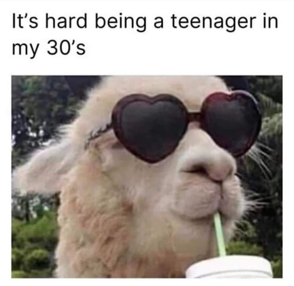 SpillTheMemes's tweet photo. 😂 https://t.co/Jb7j05TFW8