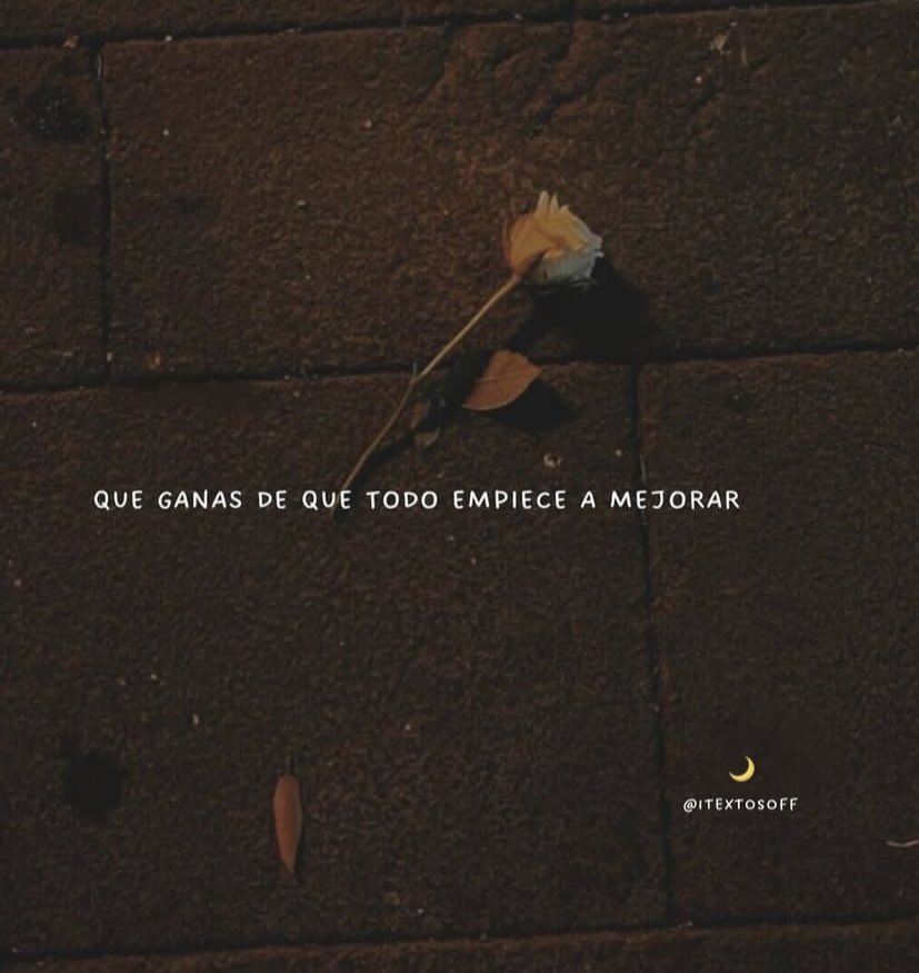 🌙 mini textos (@soyminitextos) on Twitter photo 