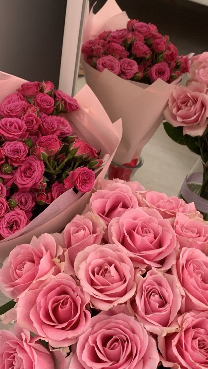i3Moment's tweet photo. Pink roses https://t.co/uA2eY28DQk