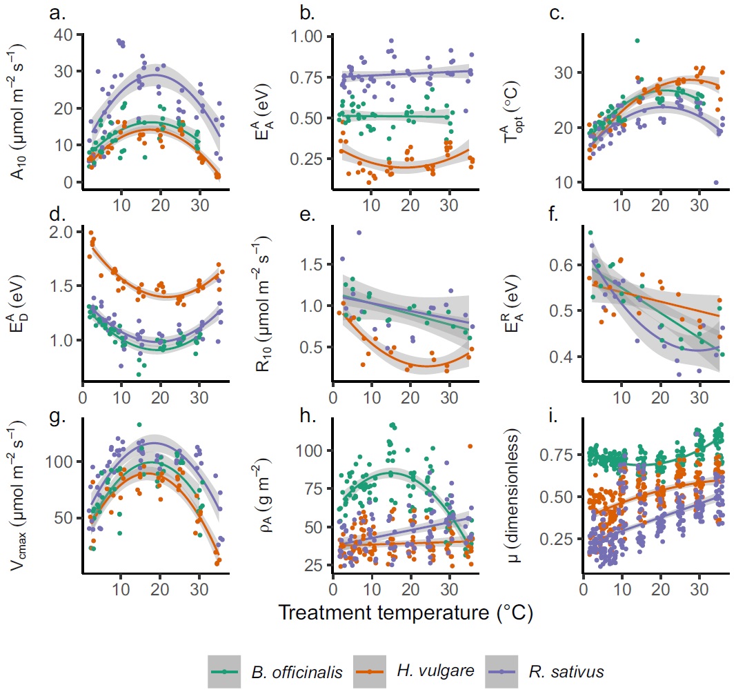 Sean Michaletz tweet media