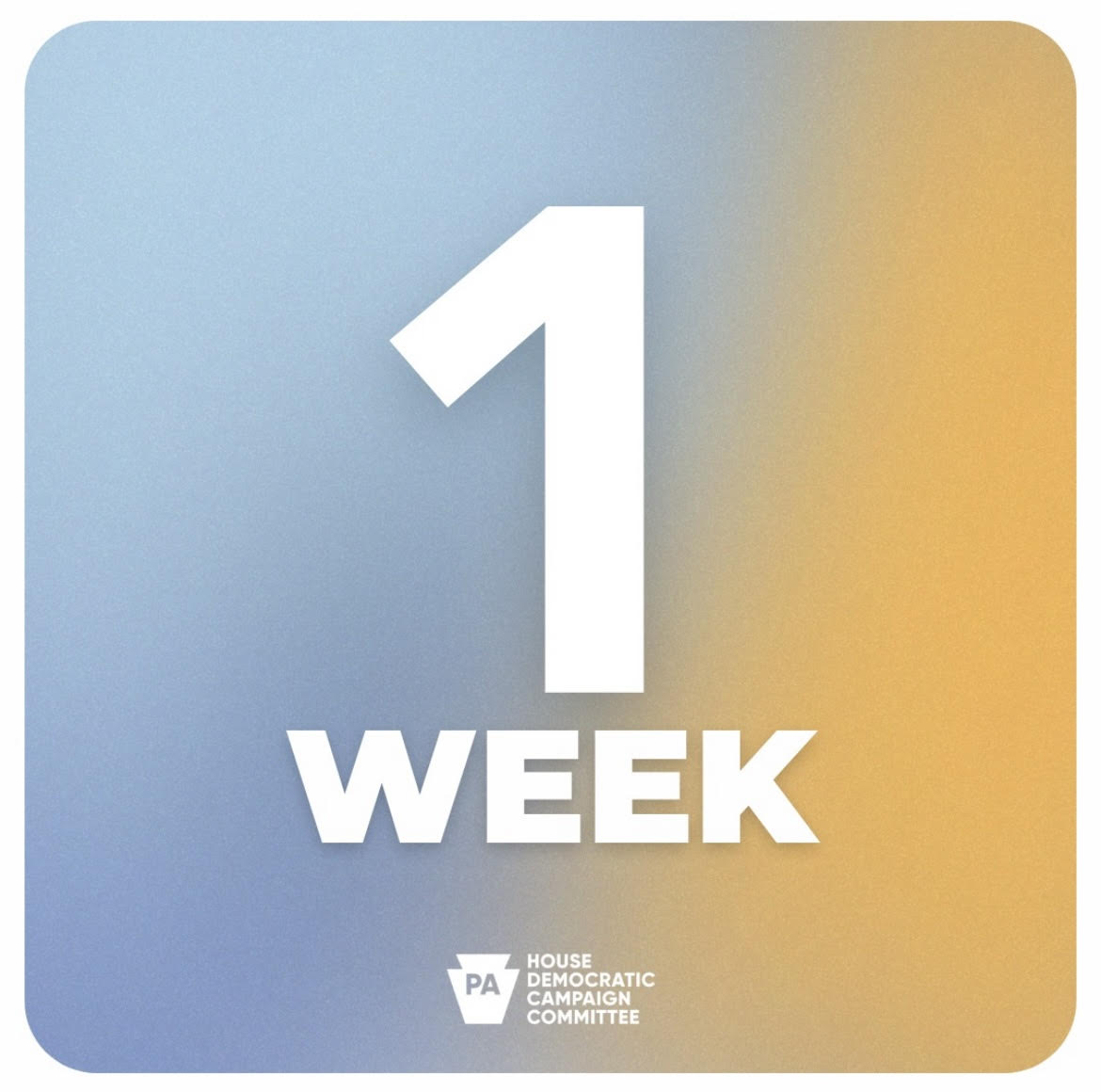 Mandy Steele tweet media