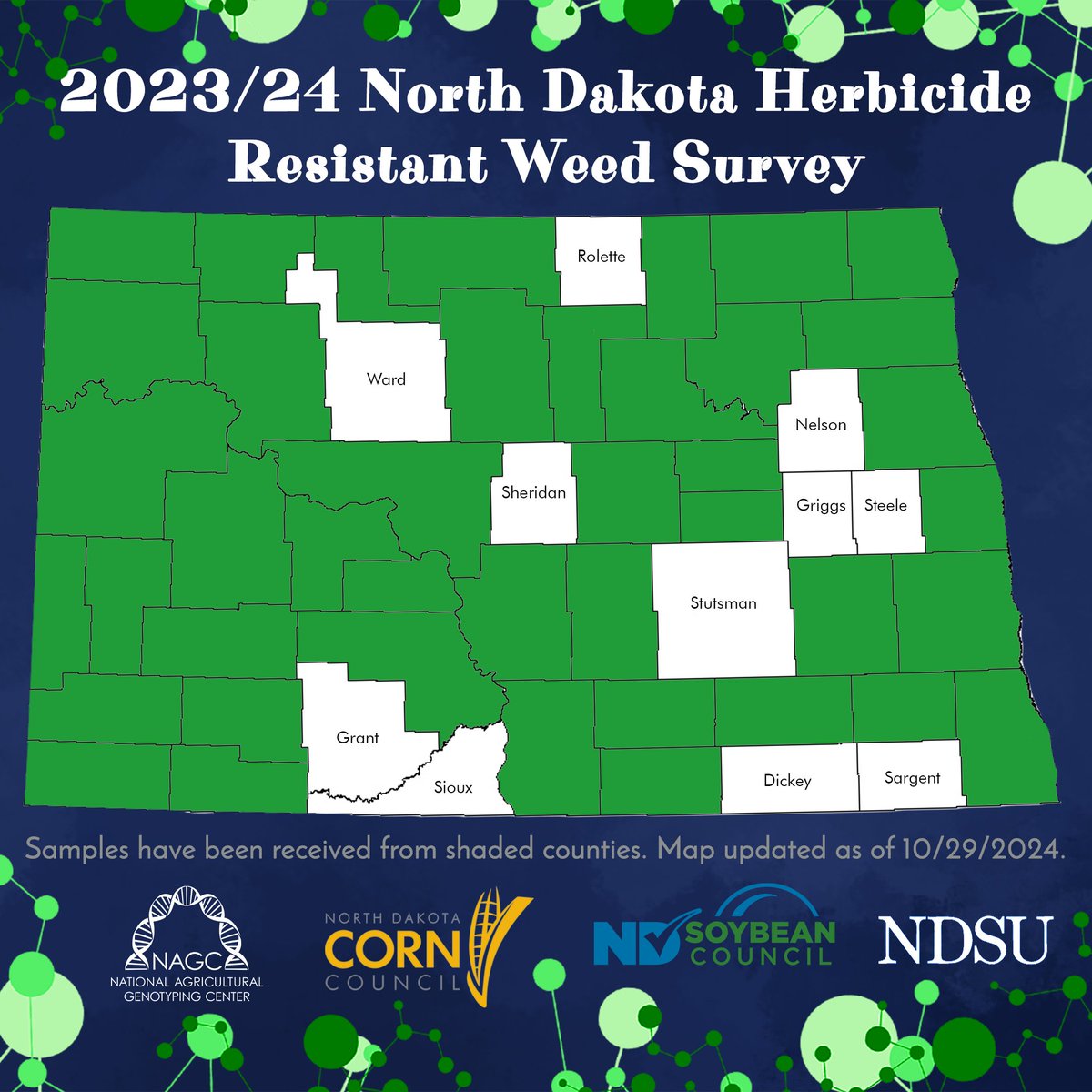 nagclab's tweet photo. 79% of North Dakota counties are represented in the 2023/24 ND Herbicide Resistant Weed Survey! We haven't received samples from 11 counties (unshaded counties below). #NAGCLab #WeHaveATestForThat #Kochia https://t.co/vEJzxocEes
