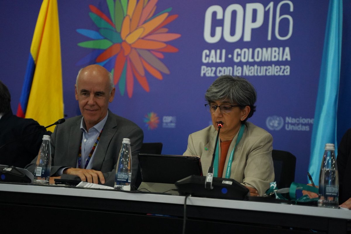 Post-2020 Biodiversity Framework . EU Support tweet media