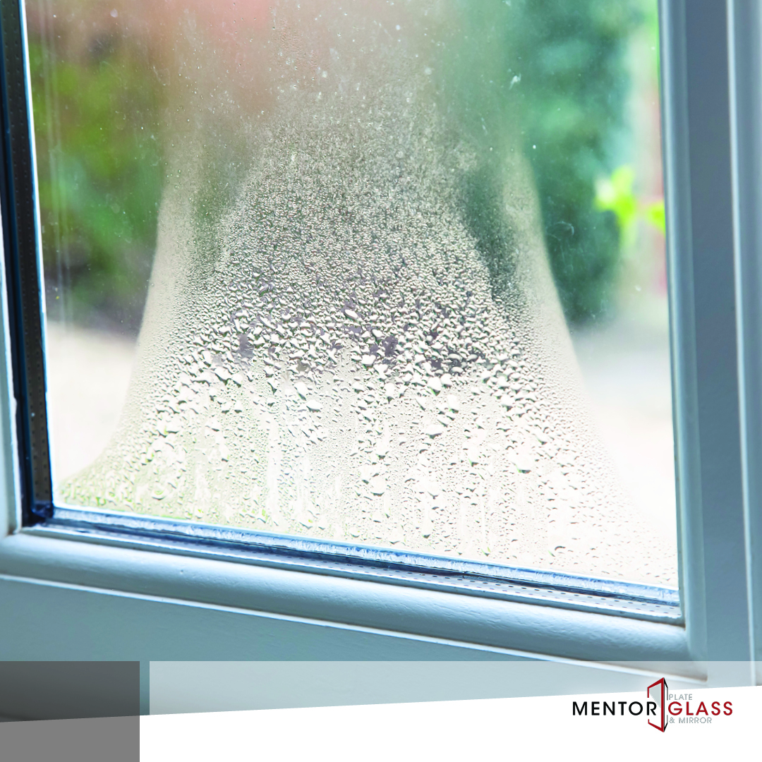 MentorGlass's tweet photo. The leaves are changing, and your windows could too! 🍂🏡 Say goodbye to foggy or broken windows and hello to unobstructed autumn beauty. Contact us for window glass replacements today!

#Fall #ClevelandFall #ClevelandAutumn #Autumn https://t.co/qYt5KJ0wMC