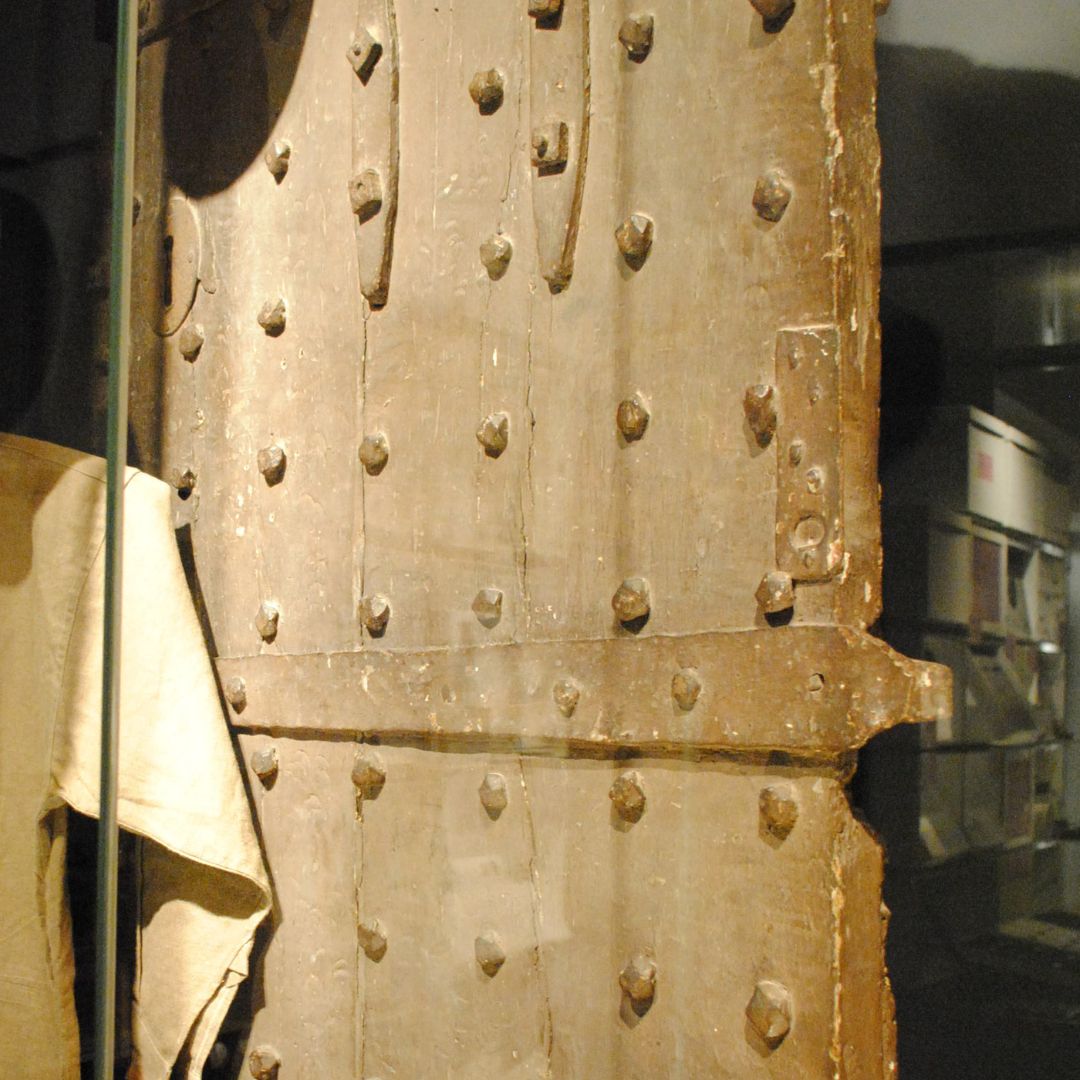 The Novium Museum tweet media