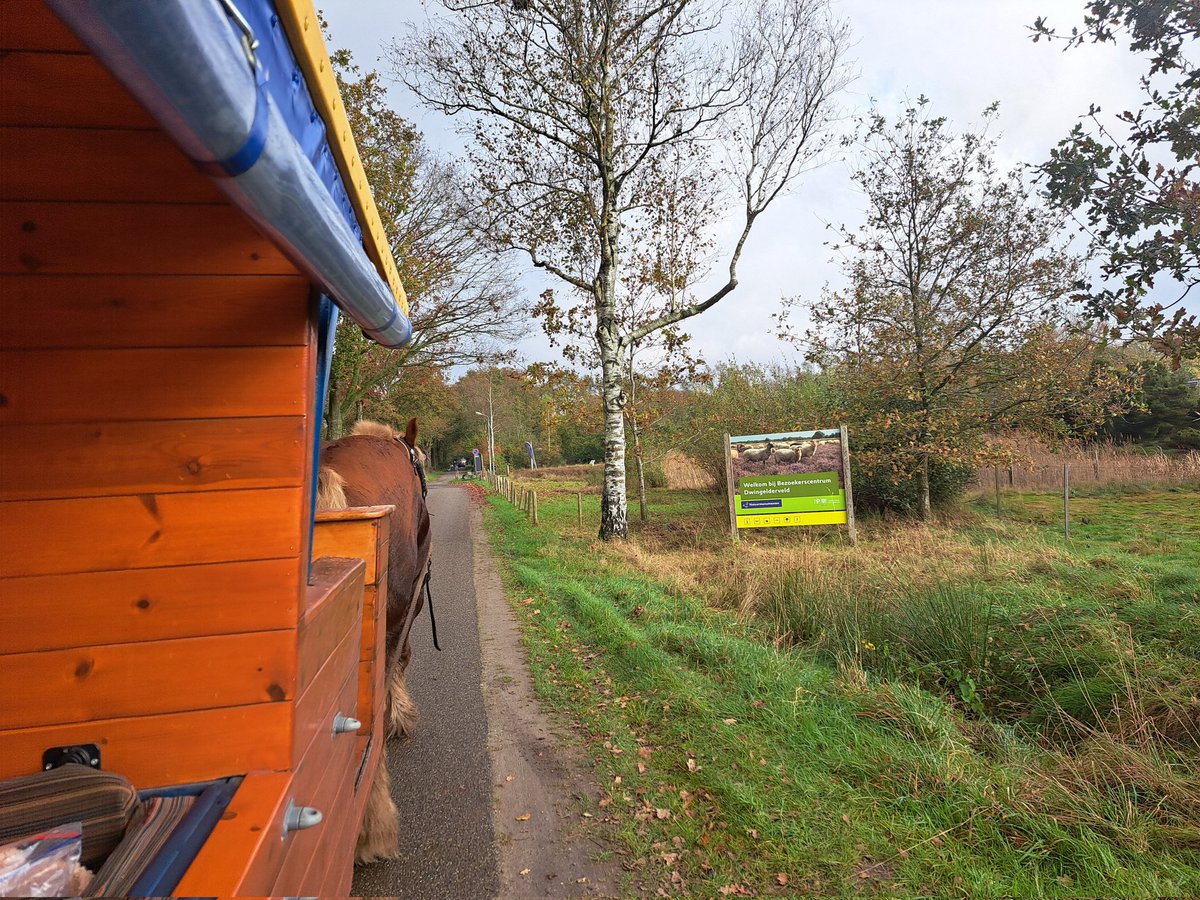 LCSEA's tweet image. Met de huifkar 🐴 over t @Dwingelerveld Geweldig 🍁🍄
#herfstvakantie #schoonfamilie @Natuurmonument @BCDwingeldervld