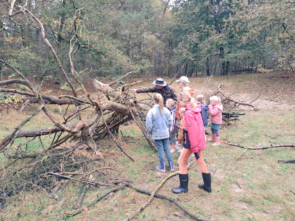 LCSEA's tweet image. Met de huifkar 🐴 over t @Dwingelerveld Geweldig 🍁🍄
#herfstvakantie #schoonfamilie @Natuurmonument @BCDwingeldervld