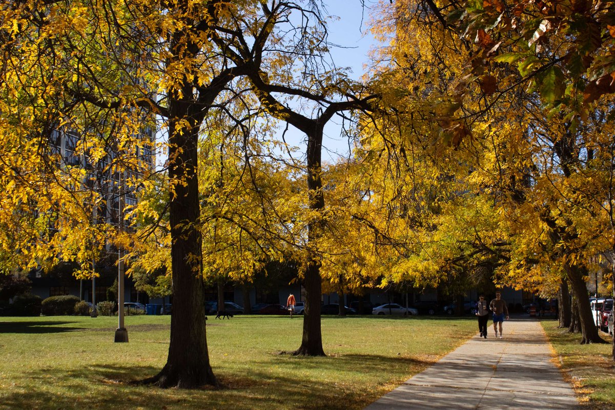 LPConservancy's tweet photo. It's finally fall in Lincoln Park, and there's no shortage of color. While it's here, appreciate the fleeting fall foliage, whether it's at the Uptown Nature Reserve, the North Pond, South Lincoln Park, or everywhere in between! ๐๐งก
#LincolnParkChicago #ChicagoFall https://t.co/hL9bbRb7BP