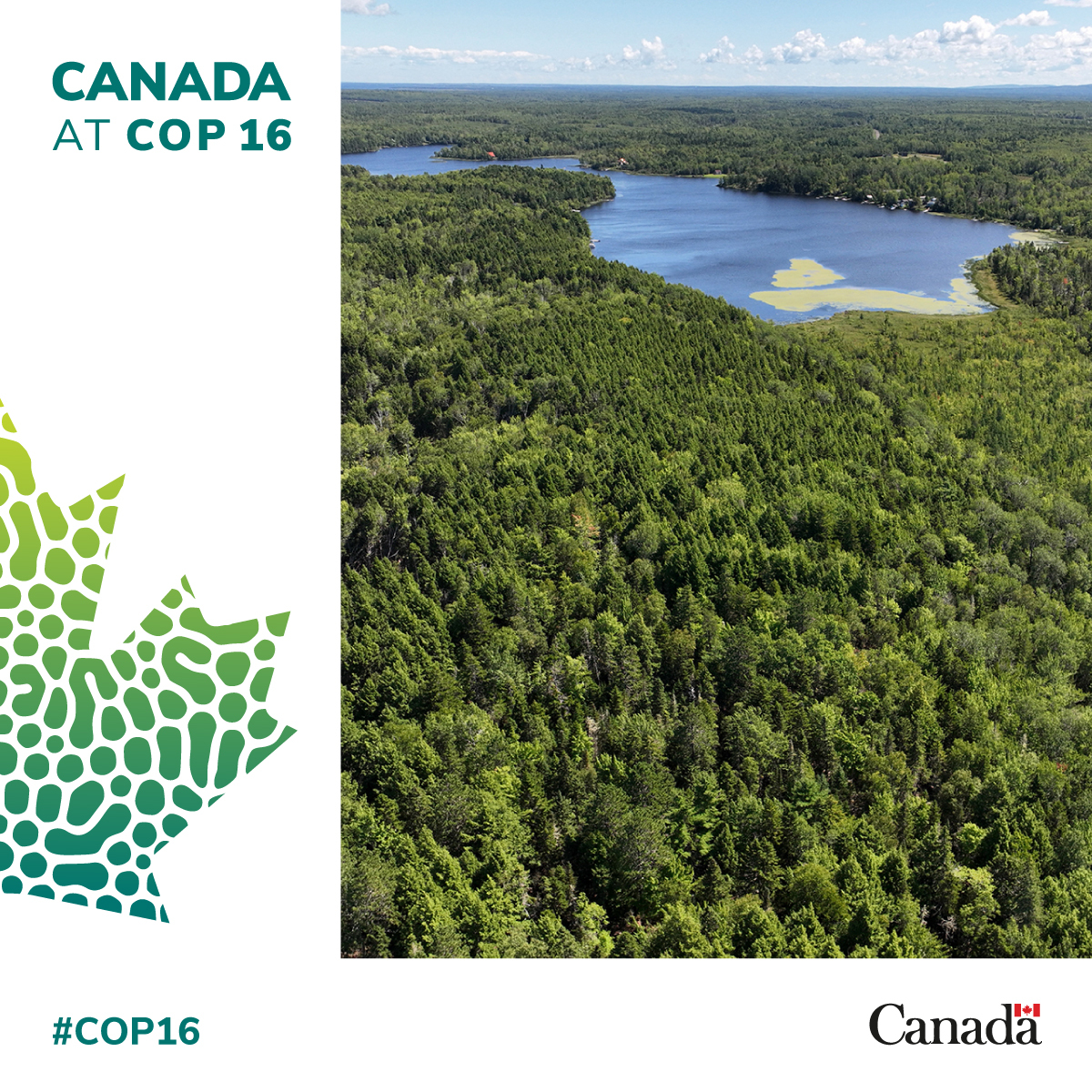 environmentca's tweet photo. 1/3 📢🌿 Milestone alert! The Ecological Gifts Program has helped Canadians protect over 250,000 hectares of land!
#ProtectNature #EcoGifts #ProgressForNature #SpeciesAtRisk 30x30
Photo Credit: Mike Dembeck https://t.co/MMngZAM96V