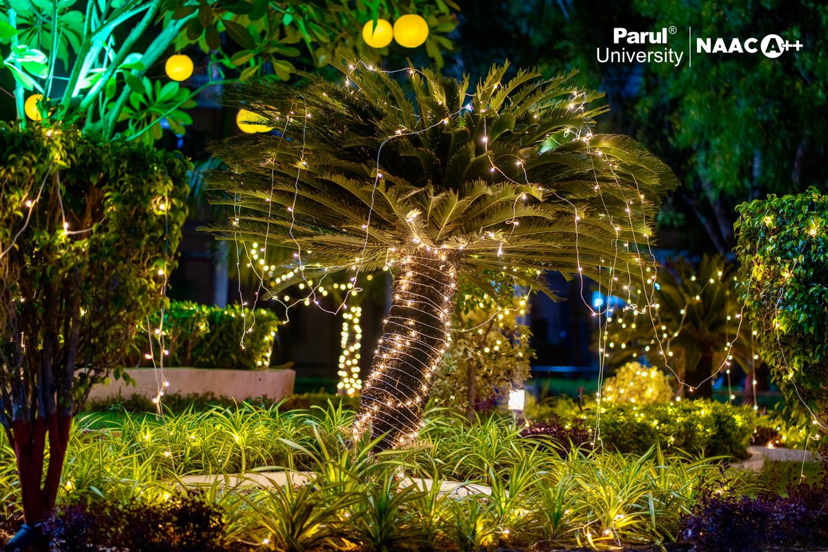 ParulUniversity's tweet photo. The campus is a glow, and so are we! 🌟

Festive lights and joyful vibes fill every corner, making PU shine brighter than ever. Swipe to bask in the glow of our dazzling Diwali decor! ✨🏮

#diwali #festivevibes #campuslife #diwalidecorations #lifeatpu #paruluniversity https://t.co/Cvlp6RuRBN